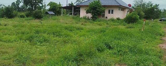 📢 ขายด่วน! 100 ตรว. 270,000 บาท ต.อ่าวน้อย ที่ดินทำเลทอง ใกล้ทะเล-ติดเมือง ในราคาที่คุณต้องรีบคว้า! 🏖️🏡