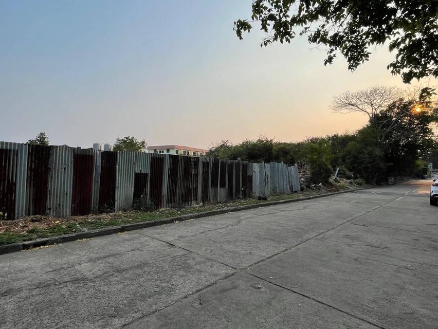 ขายที่ดินหมู่บ้านเสรีวิลล่า Seri Villa ศรีนครินทร์55 หน้าสวนหลวง ร.9 ที่ดิน 296ตร.ว ใกล้รถไฟฟ้าMrt 800ม. อยู่หลังพาราไดซ์พาร์ค ใกล้ซีคอน อุดมสุข บางนา 4