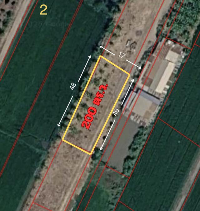 📍ขายที่ดินจัดสรรแปลงสวย ถมแล้ว 200 ตร.ว ต.บางเตย อ.สามโคก จ.ปทุมธานี📍 1