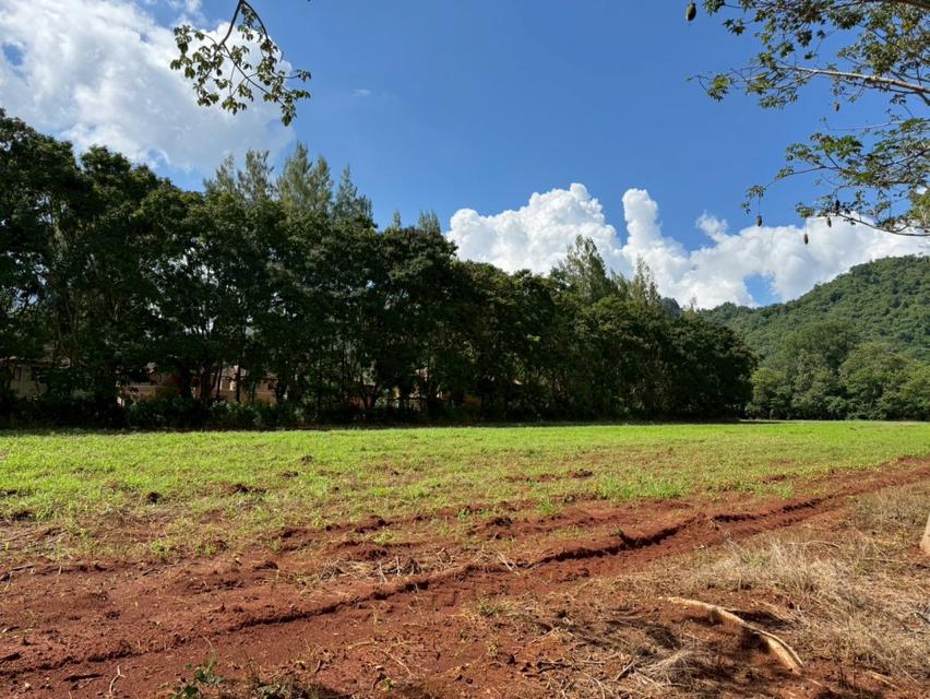 ขาย ที่ดินเปล่า เขาใหญ่ ถ.ธนะรัชต์ เหมาะสร้าง รีสอร์ท โรงแรม คอนโด สถานที่ท่องเที่ยว  32-1-96 ไร่ 1