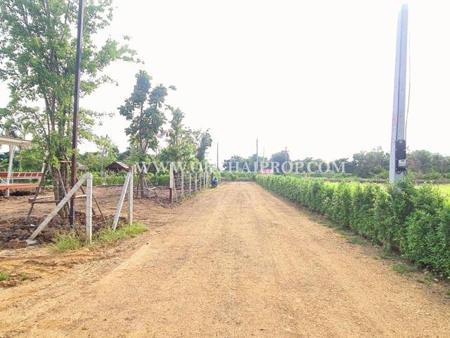 ที่ดินถมแล้ว คลอง14 ถนนรังสิต-นครนายก ใกล้มหาวิทยาลัยเซนต์เทเรซา อ.องครักษ์ จ.นครนายก 11