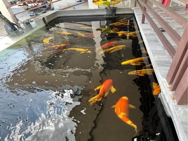 PB5941ขาย บ้านเดี่ยว คลองหลวง ปทุมธานี ซอยคลองห้าตะวันตก73 บ้านสภาพใหม่เจ้าของดูแลดีมาก 4