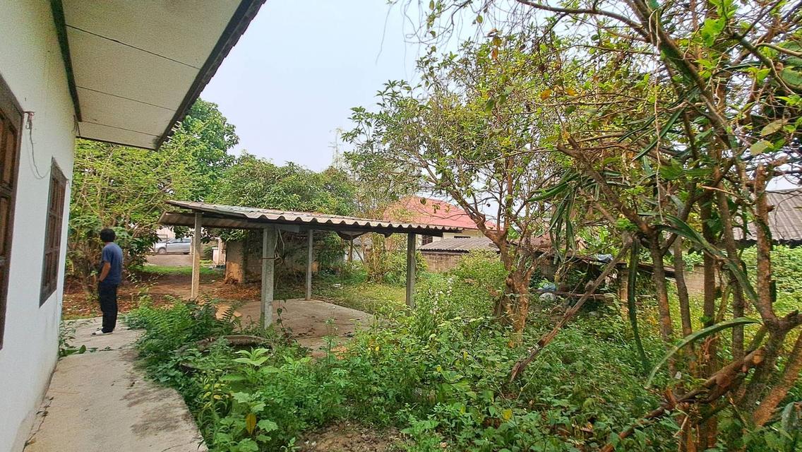ขายบ้านตั้งอยู่ใจกลางตัวอำเภอเชียงดาว 10