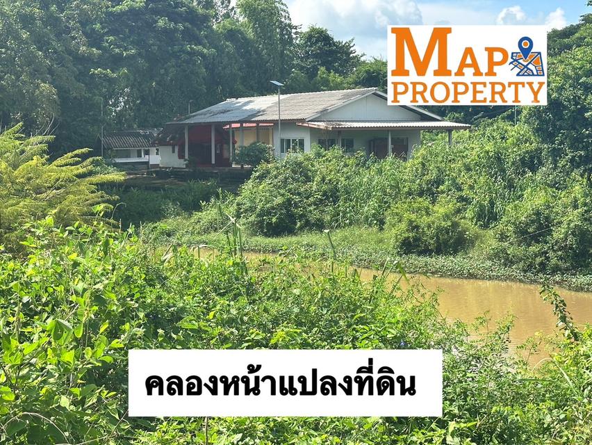 ขายที่นาแปลงสวย แปลงมุมติดถนน 2 ด้าน เนื้อที่ 9 ไร่กว่า ทำเลดีมีอนาคต 9