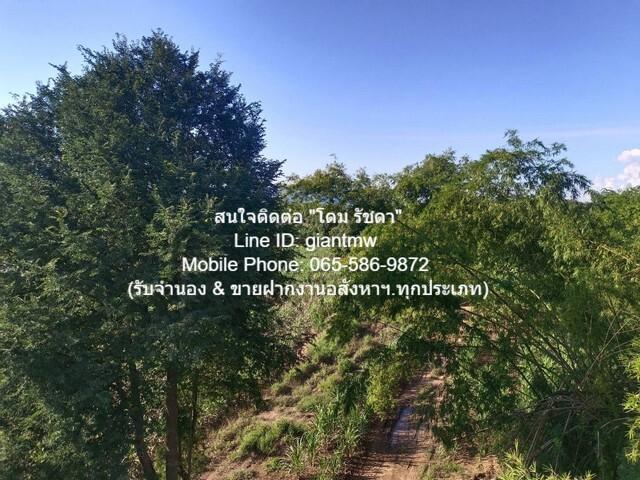 พื้นที่ดิน ขายที่ดินไร่อ้อย เนื้อที่ 45-0-31.9 ไร่ ติดแม่น้ำเลย อ.เมืองเลย จ.เลย, ราคา 18.7 ล้านบาท 18832 ตรว. 18700000  5