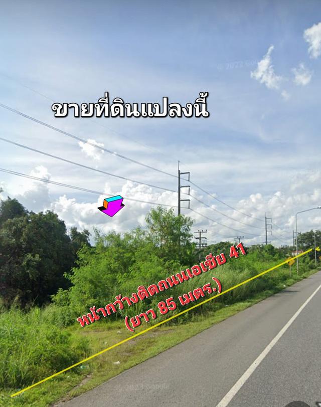 ขายที่ดินติดถนนเอเขีย41 สุราษฯ-ทุ่งสง 8