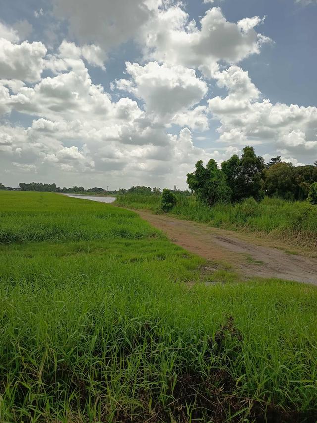 ที่ดินนิมิต​ใหม่​ 8