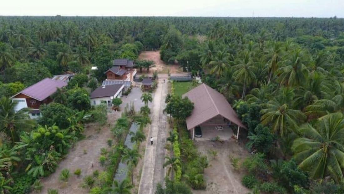 ที่ดิน 6 ไร่ พร้อมบ้านทรงไทยและสวนมะพร้าว - บางคนที สมุทรสงคราม 3