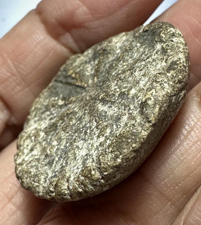 งบน้ำอ้อย กรุทัพข้าว สุโขทัย 4