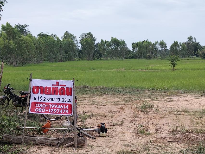 ขายที่ดิน 6 ไร่ 2 งาน 13 ตร.ว. 1