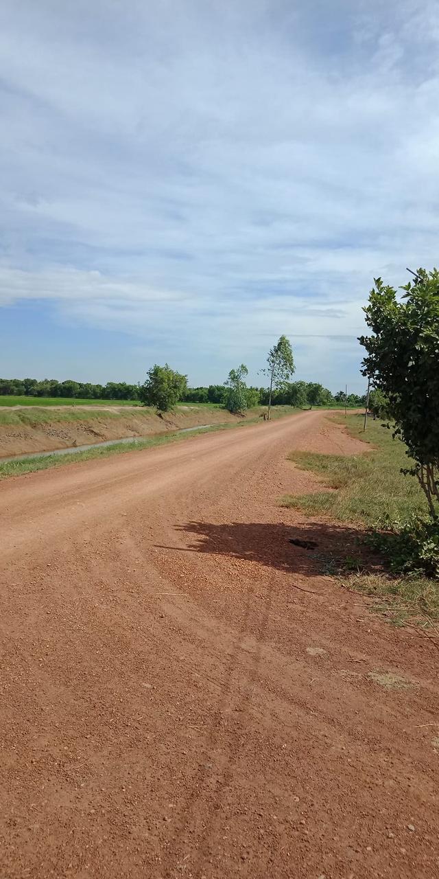 ขายที่ดินโฉนดครุฑแดง 171 ไร่ – พนมสารคาม ฉะเชิงเทรา 8