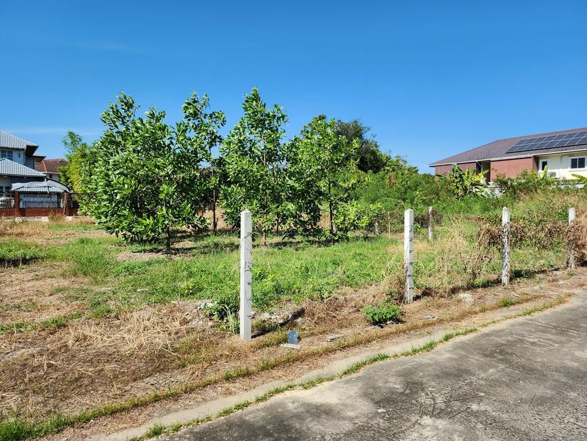 ที่ดิน เปล่าบนถนนพุทธมณทลสาย 1 3