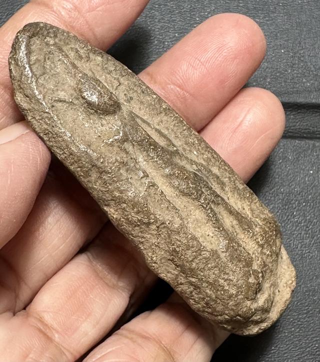 พระลีลาเนื้อดินทุ่งเหยียบดอก หลวงพ่อสุรินทร์ วัดลาดบัวขาว ราชบุรี พระมีประสบการณ์ดี รูปที่ 3