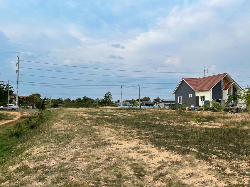 ที่ดินเปล่า 1 ไร่ @บ้านโพธิ์ 7