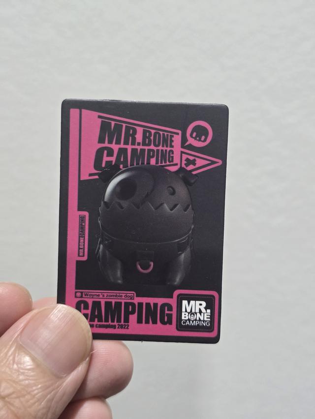 Art Toy Mr.bone Camping Super Secert 3