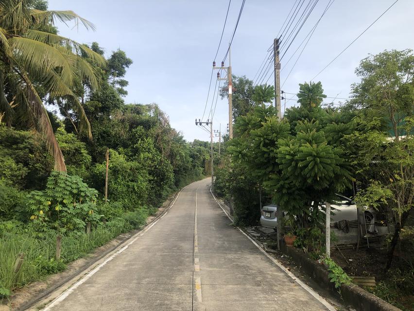 ขายที่ดินเชิงเขา เกาะถ้ำ สวนตูล สวนสัตว์สงขลาเนื้อที่ 212 ตร.ว. ราคา 4 ลบ. 2