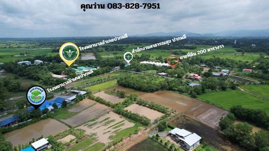 (ขาย)ที่ดิน 200 ตารางวา มีโฉนด ถมแล้วเต็มพื้นที่ หน้าโรงพยาบาลปากพลี ขาย 7 แสนบาท 5