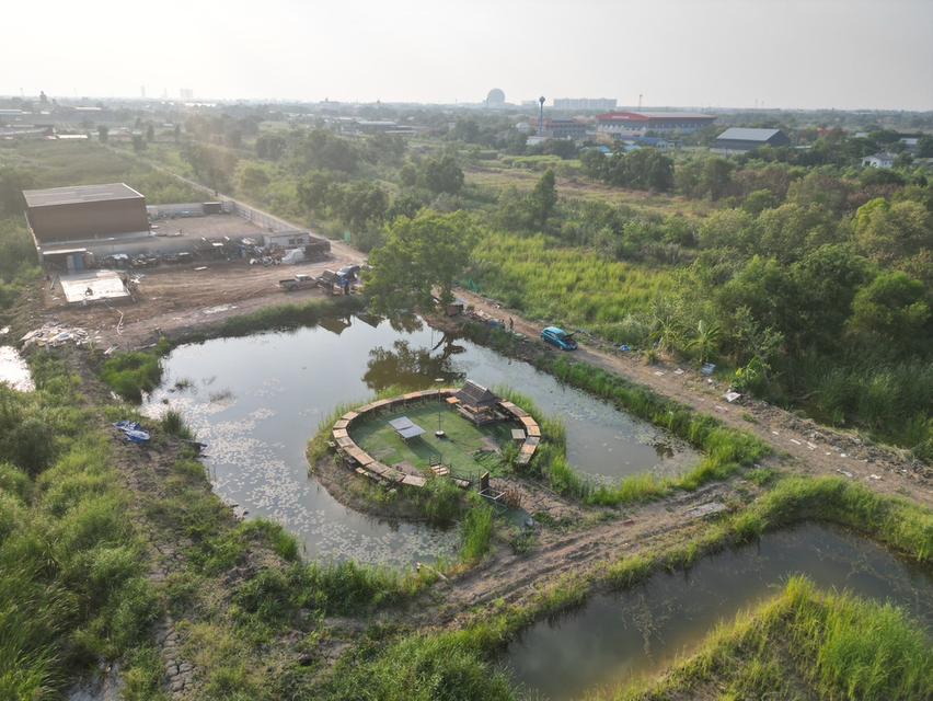 ที่ดินคลอง 4 อ.คลองหลวง จ.ปทุมธานี 6
