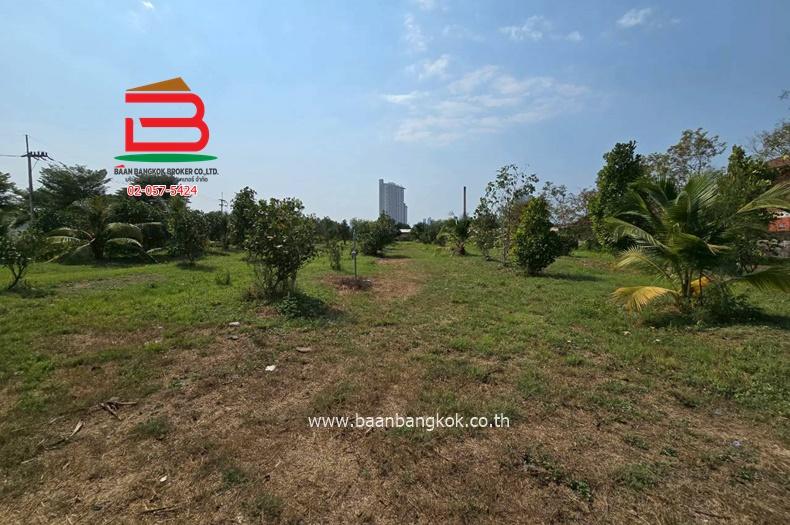 ที่ดิน นาเกลือ-พัทยา (ใกล้เซ็นทรัลพัทยา) เนื้อที่ 4 ไร่ 3 งาน 73 ตรว. ตำบลนาเกลือ อำเภอบางละมุง จังหวัดพัทยา รูปย่อยที่ 2