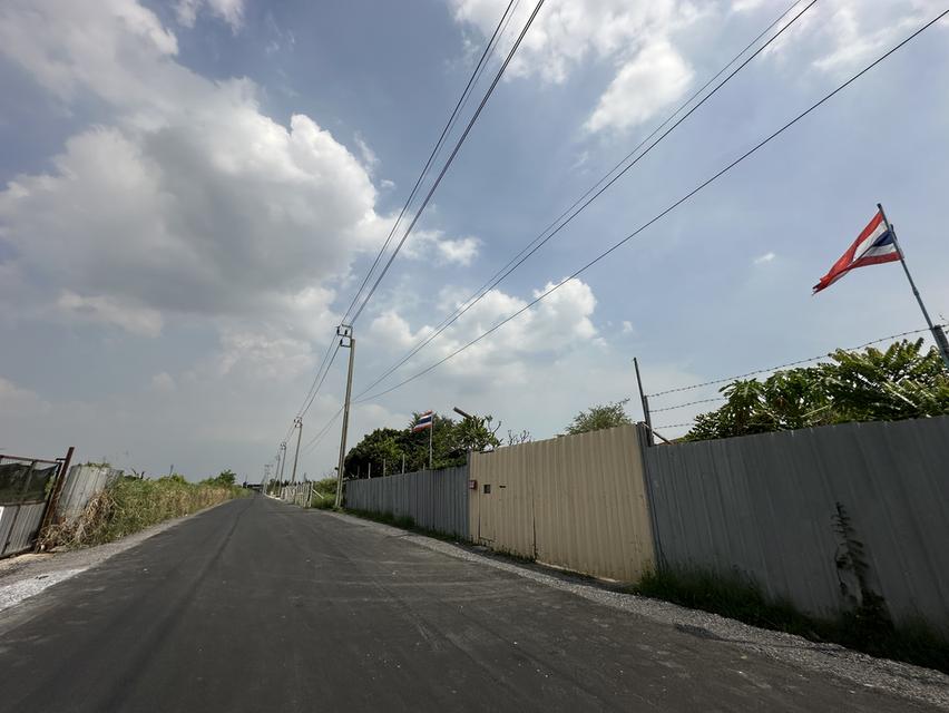 ขายที่ดิน 4 ไร่ ถนนพัฒนาชนบท 3 ซอยสมร ใกล้มอเตอร์เวย์กรุงเทพ-ชลบุรี รูปย่อยที่ 5