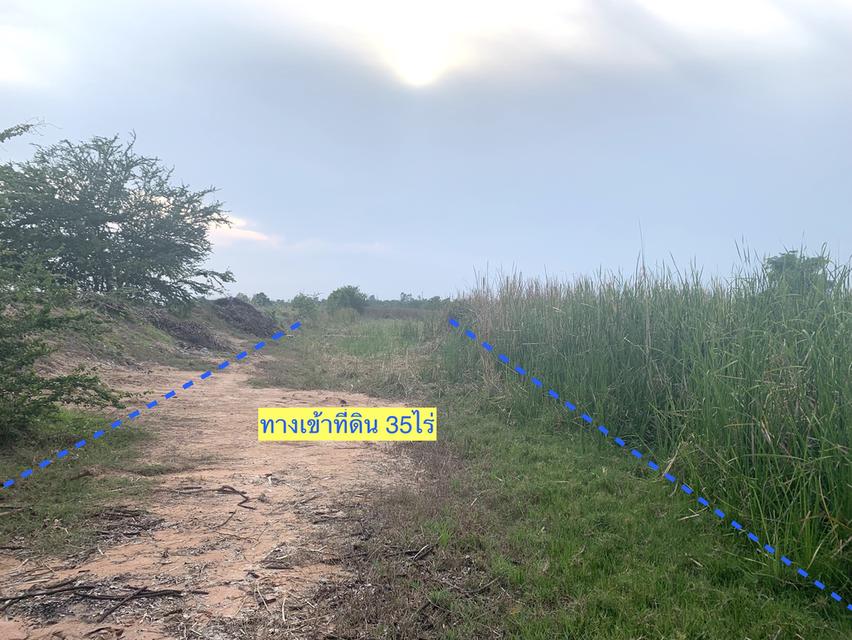 ขายที่ดินใกล้ถนนมิตรภาพ เมืองนครราชสีมา เนื้อที่ 35ไร่ ทำเลโกดัง/คลังสินค้า 3
