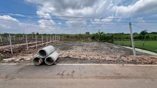 ขาย ที่ดิน - 390000 บาท 100 ตร.วา ใกล้กับ หนองเสือ 5