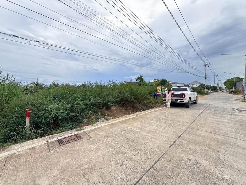 ขายด่วนที่ดิน 100 ตรว ติดถนนคอนกรีตสาธารณะ ซ.บงกช 71 อ.คลองหลวง จ.ปทุมธานี 7