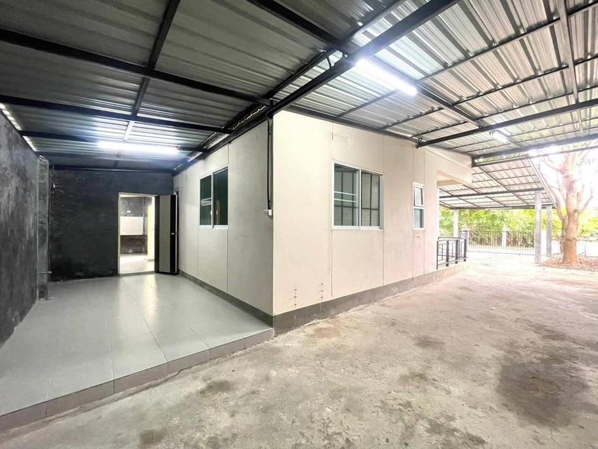 🏡 ให้เช่าบ้านเดี่ยวชั้นเดียว | รับสัตว์เลี้ยง 🐶🐱 8