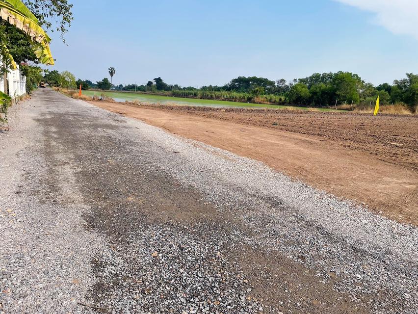 ขายที่ดินถูกสุดๆ ทำเลทอง ตำบล คลองห้า อำเภอคลองหลวง ปทุมธานี 14