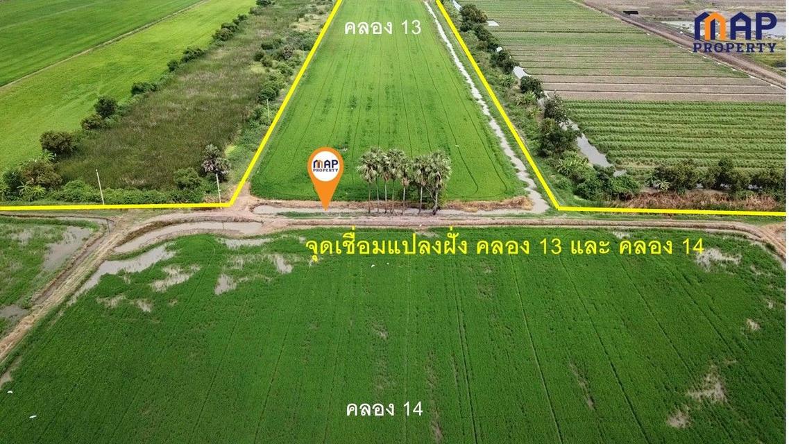 ขายที่ดินแปลงใหญ่ ติดถนน 2 ด้านหัวท้าย 290 ไร่ 6