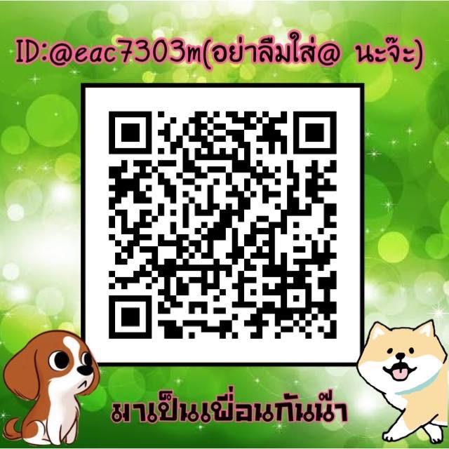 ชิวาวาแท้ขนยาว เพศชาย 12