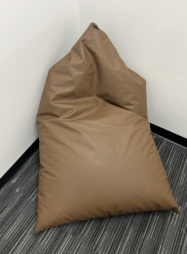 บีนแบ็ค (Bean Bag)