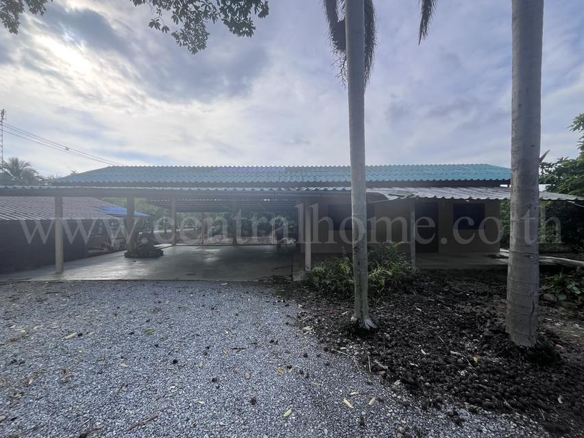 ที่ดิน พร้อมสิ่งปลูกสร้าง 9-3-60 ไร่ สามพราน นครปฐม 8