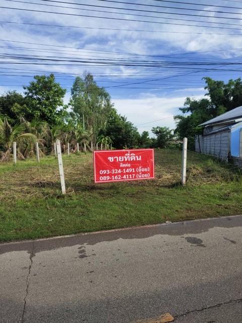 ขายที่ดิน ซอย 3 ต.พานพร้าว อ.ศรีเชียงใหม่ จ.หนองคาย ถนนริมโขง 3