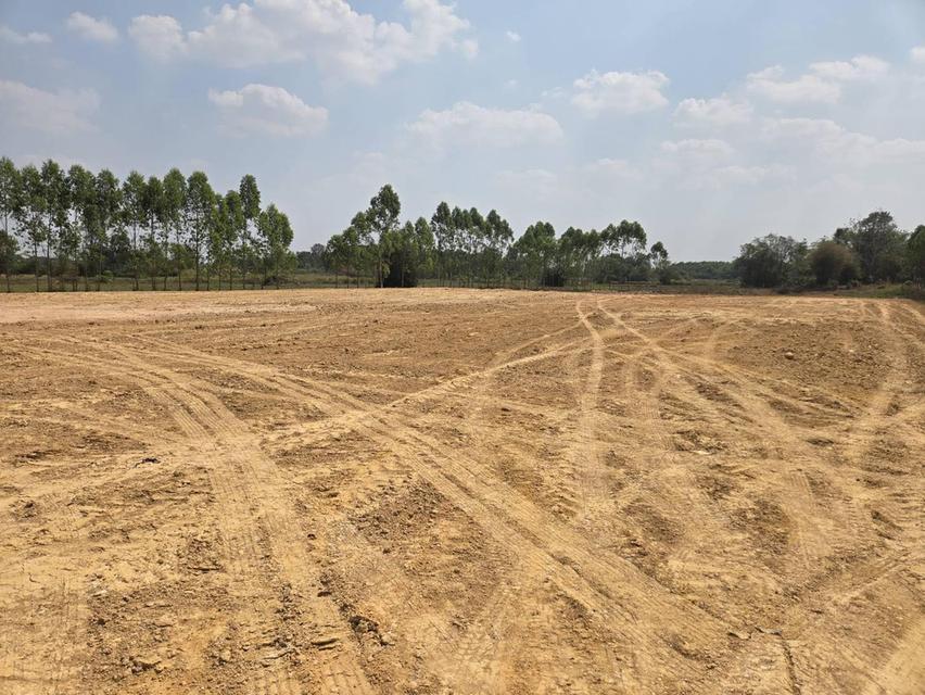 ขายที่ดินหัวหว้าสีม่วง 6 ไร่ ถมแล้วติดถนนคอนกรีต หลังนิคมโรจนะปราจีนใกล้อบต.หนองโพรง2กม. อ.ศรีมหาโพธิ ปราจีนบุรี 2