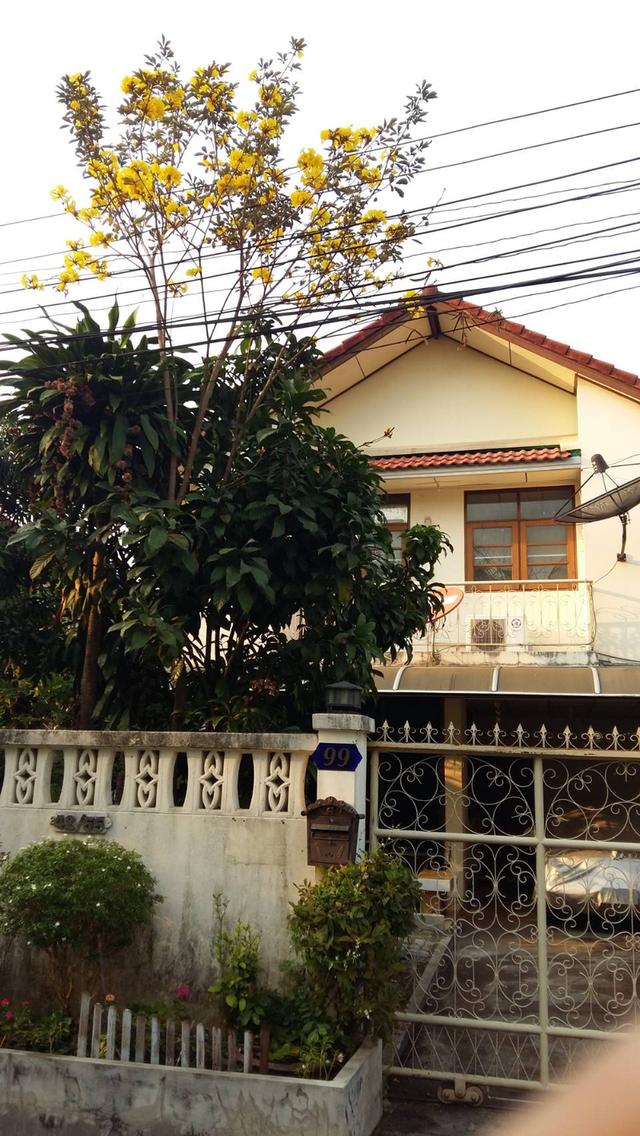 บ้านเดี่ยว 1