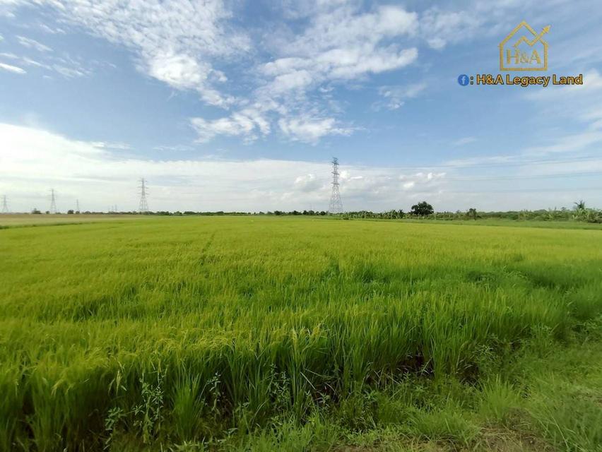  ขายที่ดินเปล่าแปลงสวย ติดถนนใหญ่ อย.3006 ลาดบัวหลวง–ไม้ตรา อ.ลาดบัวหลวง จ.พระนครศรีอยุธยา 30-3-74 ไร่