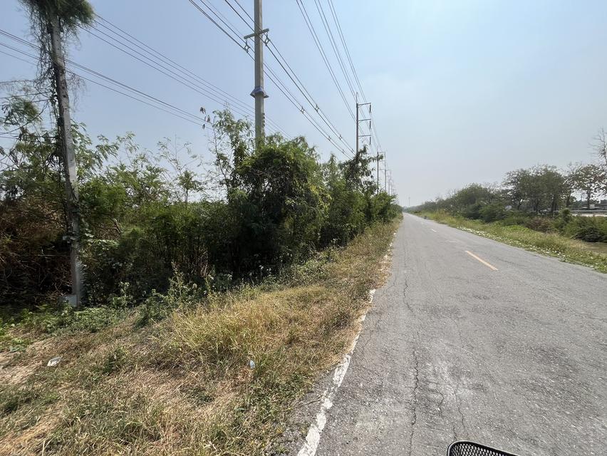 ✨ขายที่นา ทำเลทอง 10 ไร่ ติดถนนใหญ่ + คลองชลประทาน – ต.ย่านยาว อ.สามชุก จ.สุพรรณบุรี✨ 9