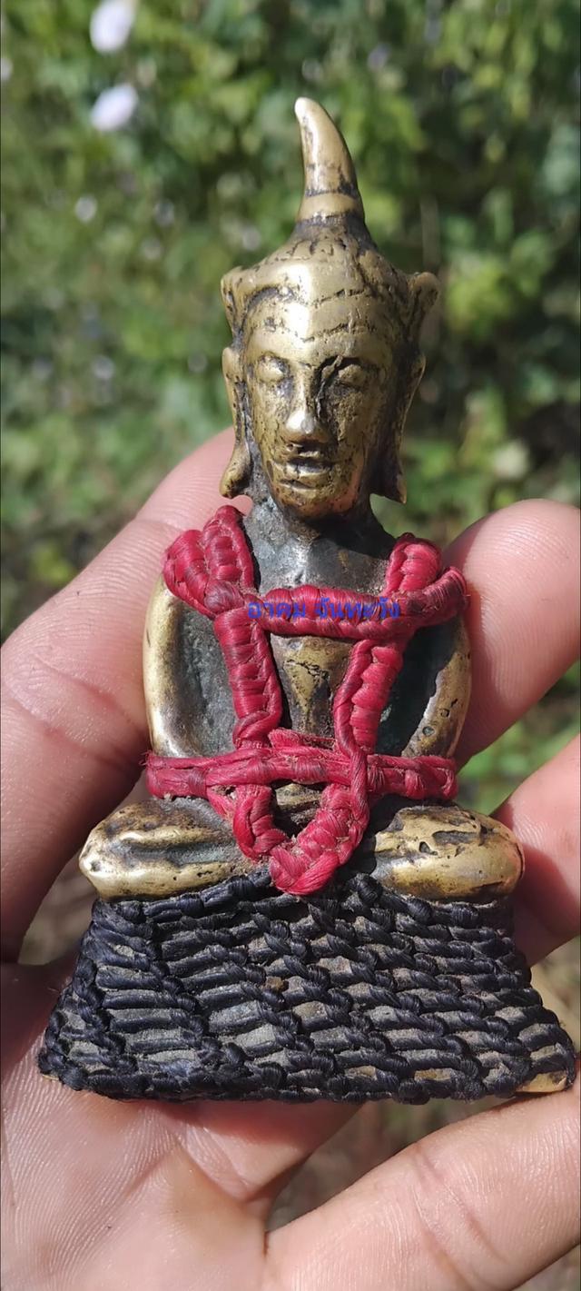 พญางั่งสุวรรณภูมินิ้วกระดก