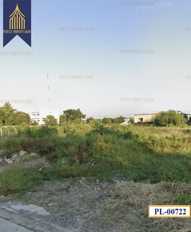 ขายที่ดิน พระโขนง 100 วา เหมาะสร้างบ้านพักอาศัย 3