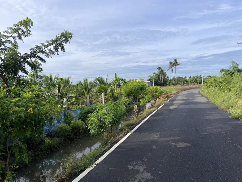 ขายที่ดินติดริมแม่น้ำท่าจีน 2-2-20 ไร่ โฉนดครุฑแดง หน้าติดถนนลาดยาง ต.วังไก่เถื่อน อ.หันคา จ.ชัยนาท 9