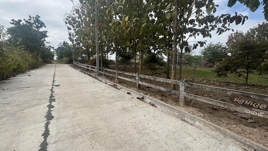 ที่ดินพร้อมบ้าน 2 ไร่ 2.7 ล้าน ต.วังหมี บ้านโคกสันติสุข 7