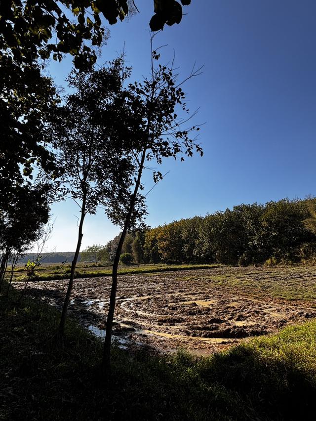 ที่ดินสวนเกษตร โฉนดครุฑแดงขนาด 11 ไร่  2 งาน 56 ตารางวา พร้อมโอน เจ้าของขายเอง 8