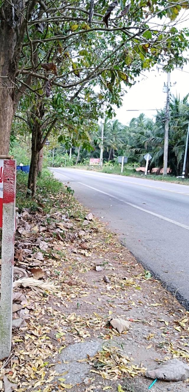ที่ดินถมดินไว้เตรียมปลูกบ้านเพื่อทำการค้าขาย