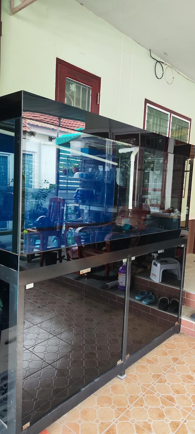 ตู้เลี้ยงปลาขนาดใหญ่