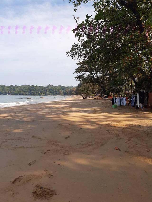 ที่ดินติดชายหาด เขาหลัก จ.พังงา 11