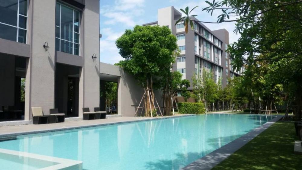 ให้เช่า dcondo Campus Resort Bangna 6