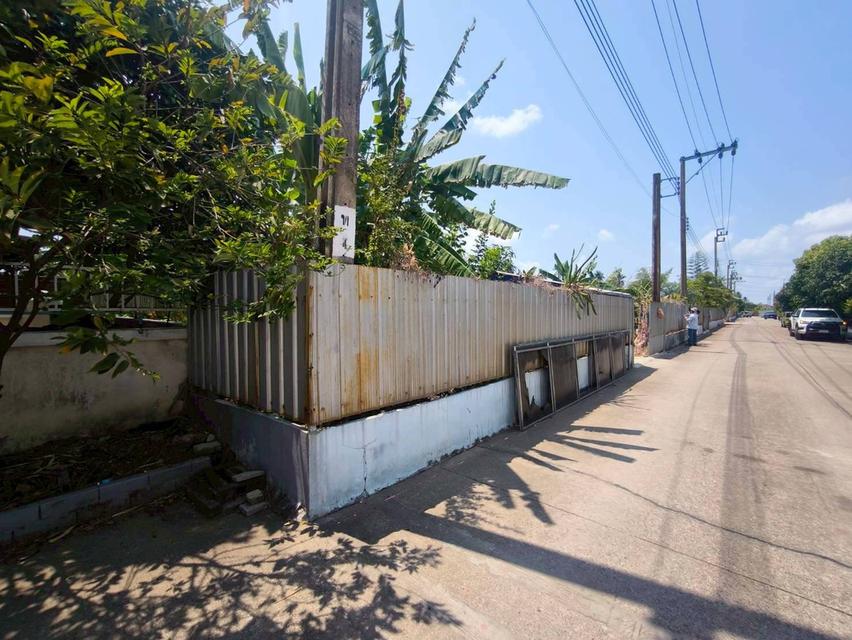 ขายด่วนที่ดิน 302 ตรว ติดถนนคอนกรีตสาธารณะ ม.แสนสุขปาร์ค บางบอน 3 ซอย 8 บางบอน กทม. 7