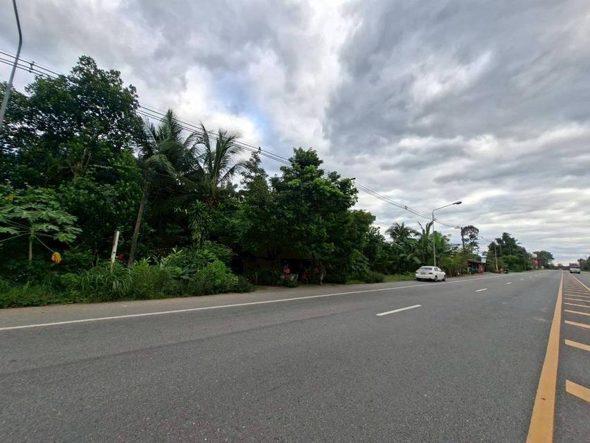 ขายที่ดินพร้อมสิ่งปลูกสร้างบ้านเขาเพิ่ม ถนนบ้านนา-แก่งคอย 2