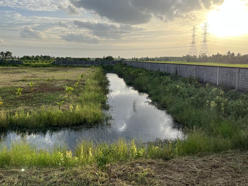 🌿 Land for sale in a fast-developing zone, by owner, title deed ready to transfer, no mortgage 3